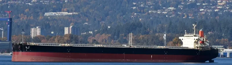 KAIYO Bulk Carrier IMO 9303936 photo 6