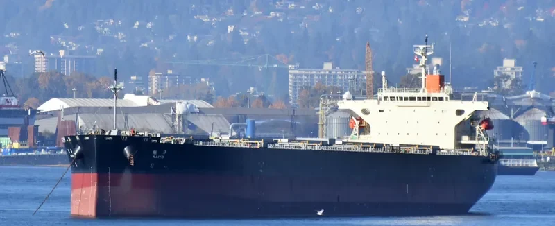 KAIYO Bulk Carrier IMO 9303936 photo 7