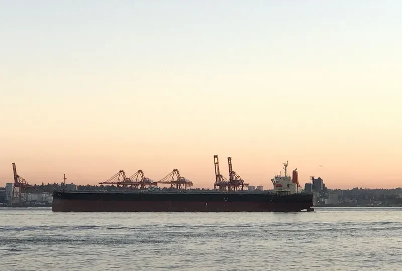 KAIYO Bulk Carrier IMO 9303936 photo 8