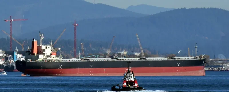 KAIYO Bulk Carrier IMO 9303936 photo 9