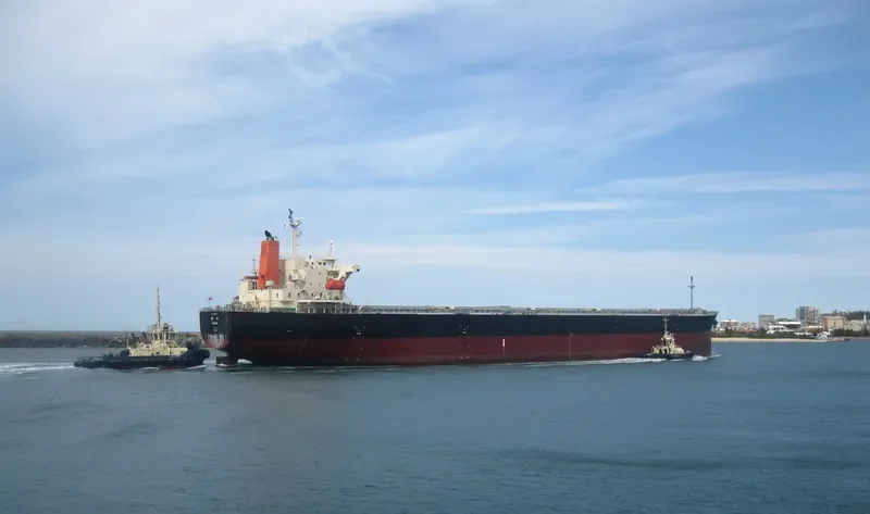 KAIYO Bulk Carrier IMO 9303936 photo 10