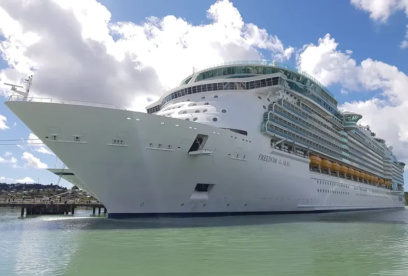 FREEDOM OF THE SEAS Passenger Ship IMO 9304033 photo 2