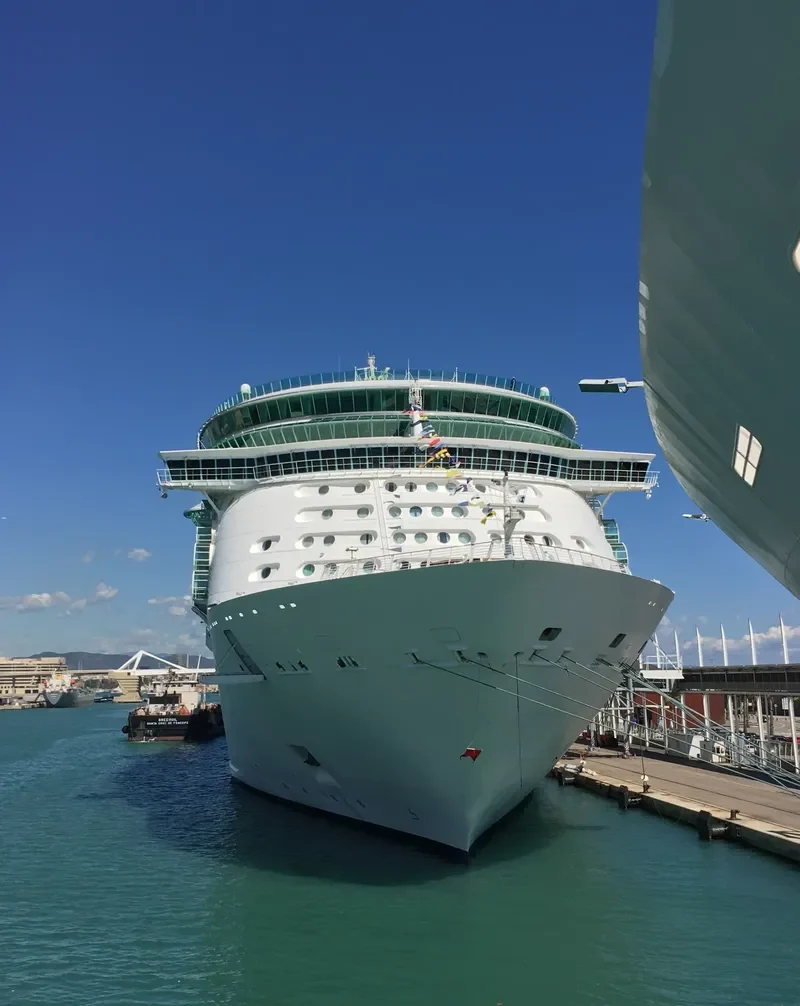 FREEDOM OF THE SEAS Passenger Ship IMO 9304033 photo 10