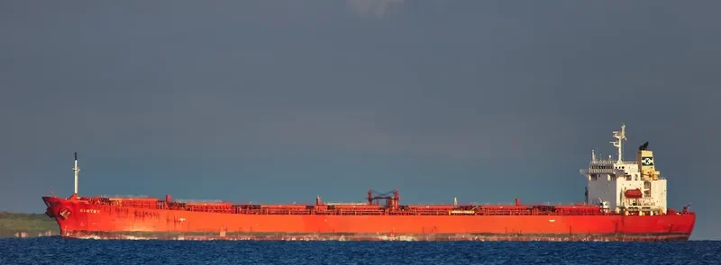 BANTRY Bulk Carrier IMO 9304069 photo 6