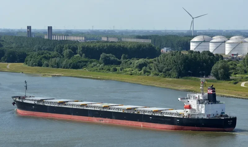 BELLATRIX Bulk Carrier IMO 9304071 photo 3