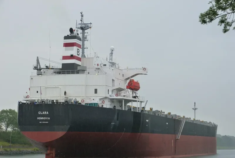 CLARA Bulk Carrier IMO 9304083 photo 3