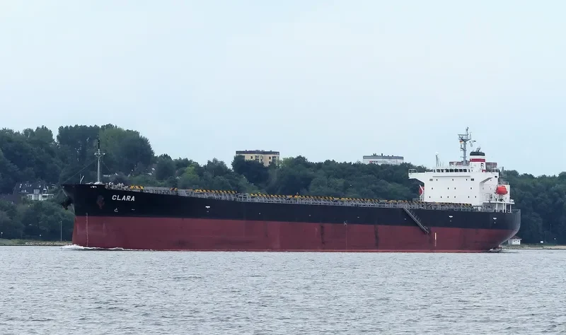 CLARA Bulk Carrier IMO 9304083 photo 5