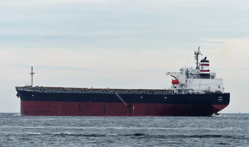 CLARA Bulk Carrier IMO 9304083 photo 6