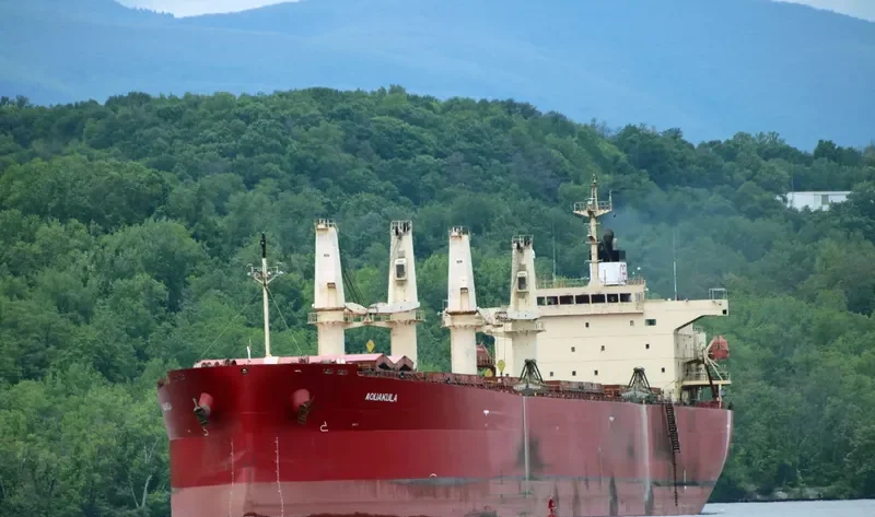 DHARMA LAUTAN RUBY Bulk Carrier IMO 9304095