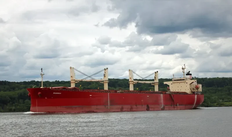 DHARMA LAUTAN RUBY Bulk Carrier IMO 9304095 photo 2