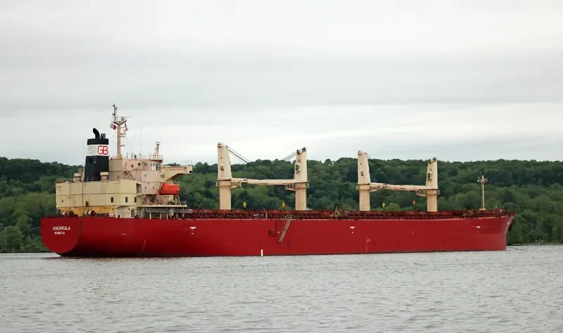 DHARMA LAUTAN RUBY Bulk Carrier IMO 9304095 photo 3