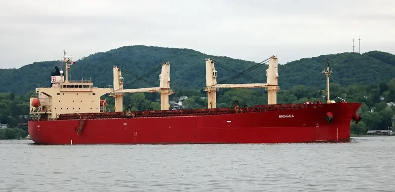 DHARMA LAUTAN RUBY Bulk Carrier IMO 9304095 photo 4