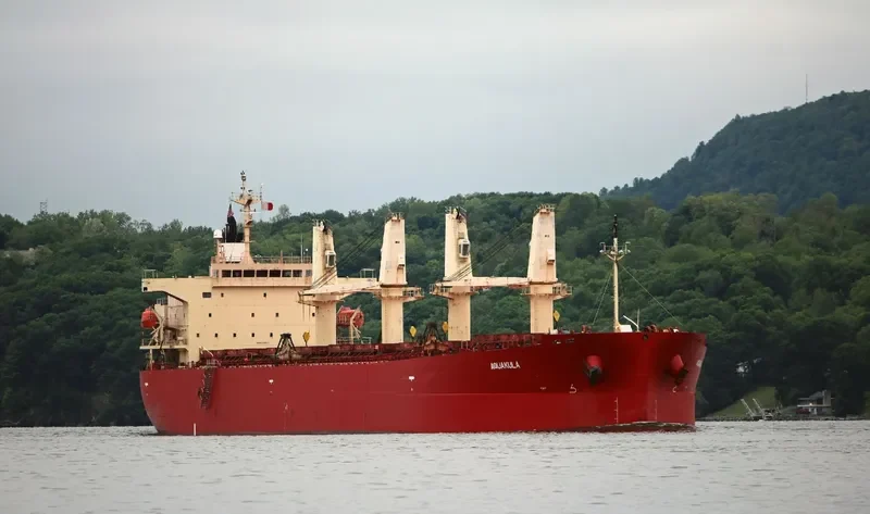 DHARMA LAUTAN RUBY Bulk Carrier IMO 9304095 photo 5