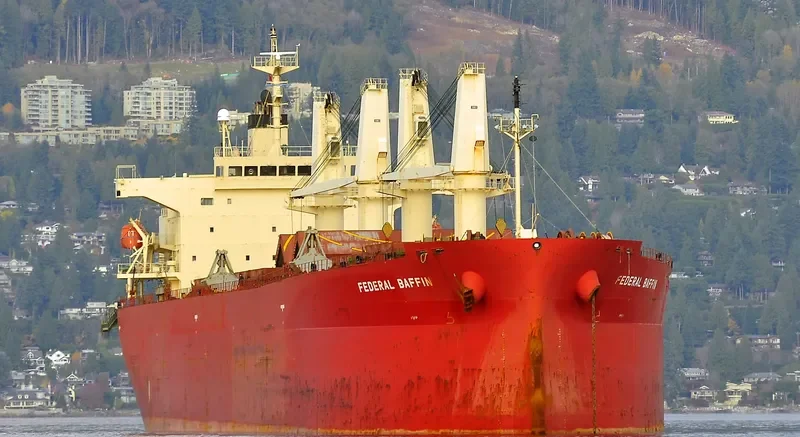 DHARMA LAUTAN RUBY Bulk Carrier IMO 9304095 photo 6
