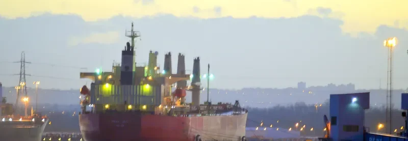 DHARMA LAUTAN RUBY Bulk Carrier IMO 9304095 photo 7
