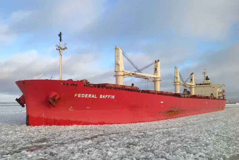 DHARMA LAUTAN RUBY Bulk Carrier IMO 9304095 photo 8