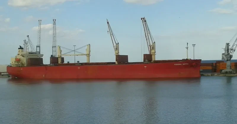 DHARMA LAUTAN RUBY Bulk Carrier IMO 9304095 photo 9