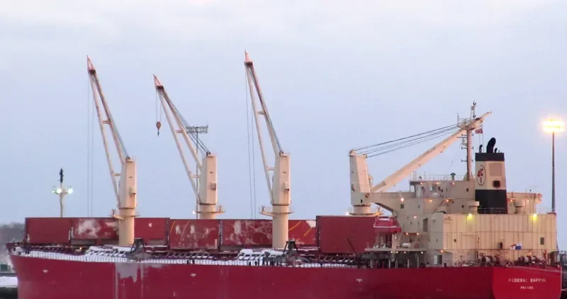 DHARMA LAUTAN RUBY Bulk Carrier IMO 9304095 photo 10