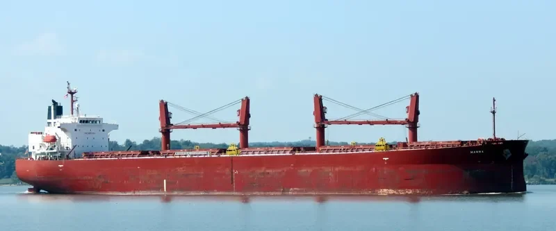 MANNA Bulk Carrier IMO 9304100 photo 9