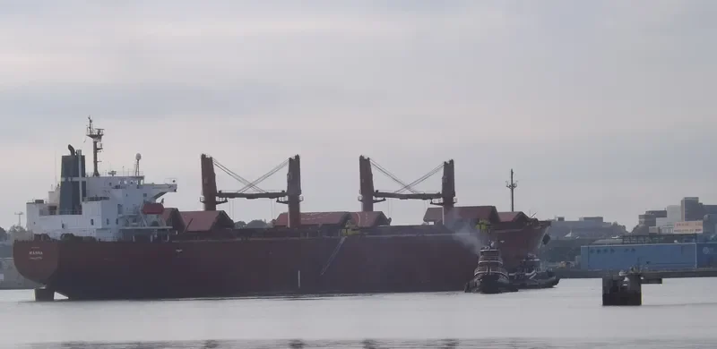 MANNA Bulk Carrier IMO 9304100 photo 10