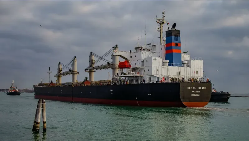 CORAL ISLAND Bulk Carrier IMO 9304112 photo 2