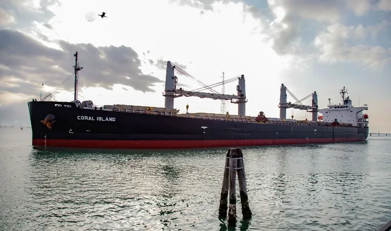 CORAL ISLAND Bulk Carrier IMO 9304112 photo 3