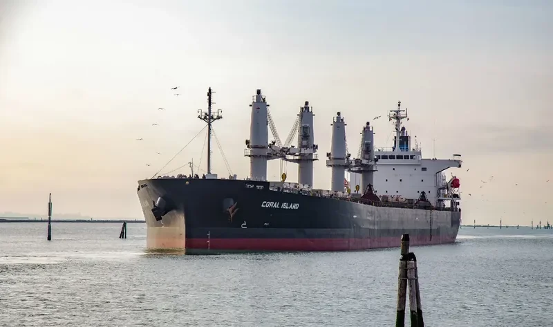 CORAL ISLAND Bulk Carrier IMO 9304112 photo 4