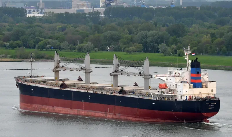 CORAL ISLAND Bulk Carrier IMO 9304112 photo 5