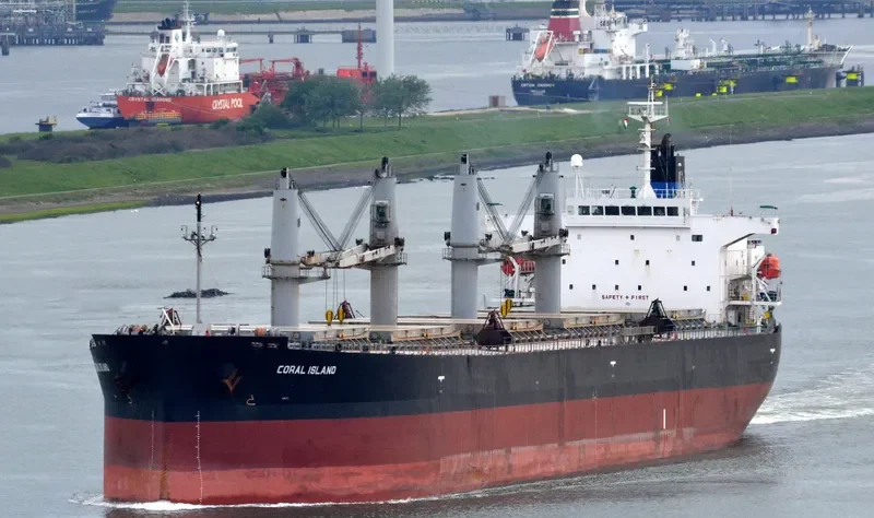 CORAL ISLAND Bulk Carrier IMO 9304112 photo 6