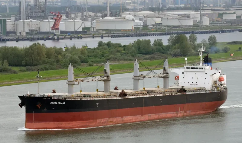 CORAL ISLAND Bulk Carrier IMO 9304112 photo 7