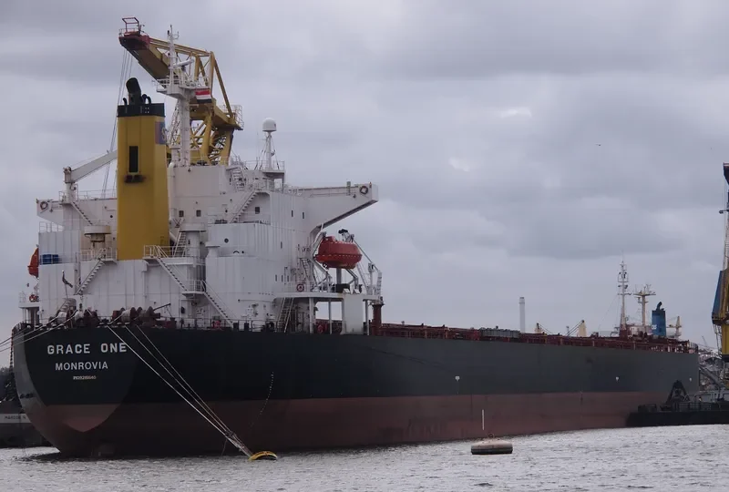CORAL ISLAND Bulk Carrier IMO 9304112 photo 9
