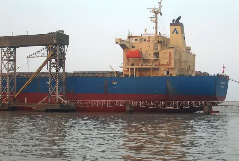 KING LOONG Bulk Carrier IMO 9304124 photo 2