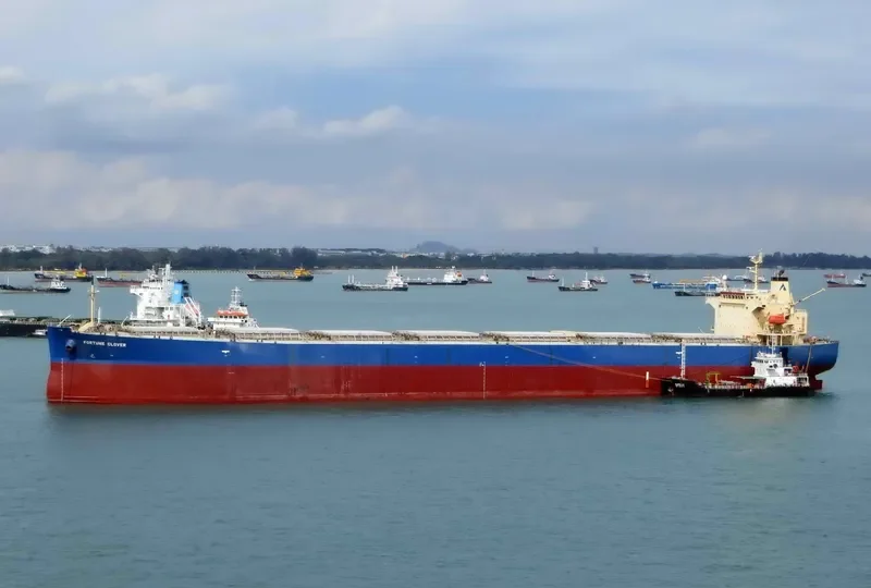 KING LOONG Bulk Carrier IMO 9304124 photo 4