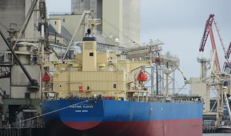 KING LOONG Bulk Carrier IMO 9304124 photo 5