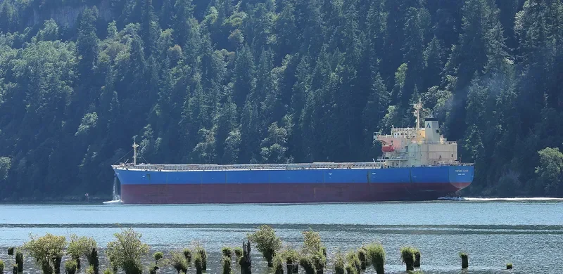 KING LOONG Bulk Carrier IMO 9304124 photo 8