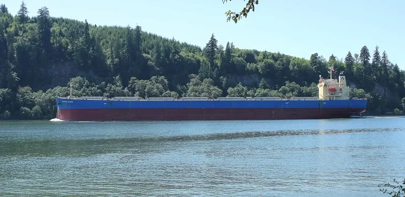 KING LOONG Bulk Carrier IMO 9304124 photo 9