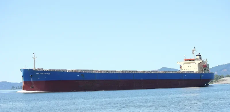 KING LOONG Bulk Carrier IMO 9304124 photo 10