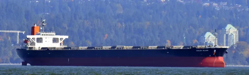 AZALEA ISLAND Bulk Carrier IMO 9304148 photo 2
