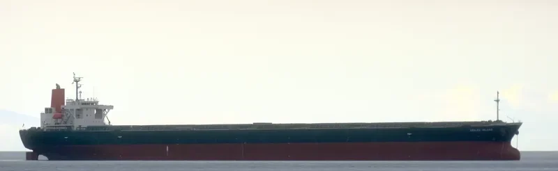 AZALEA ISLAND Bulk Carrier IMO 9304148 photo 3