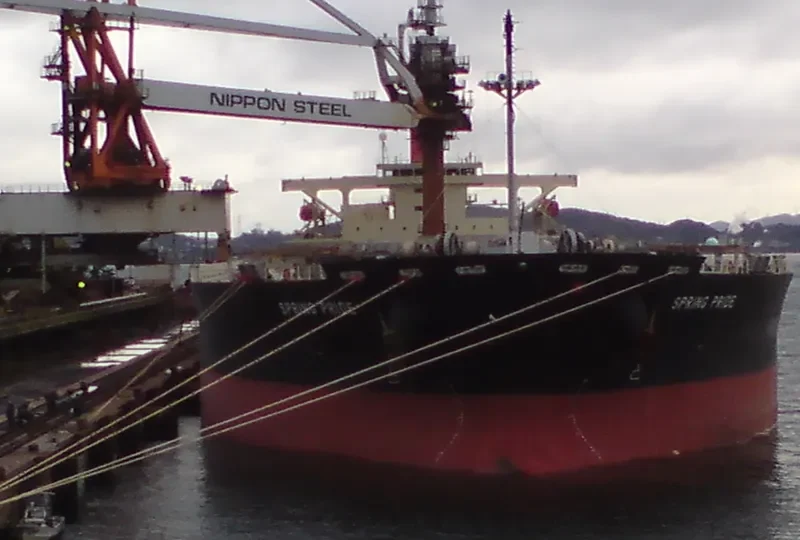 SPRING PRIDE Bulk Carrier IMO 9304150 photo 3