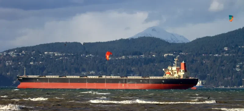 SPRING PRIDE Bulk Carrier IMO 9304150 photo 4