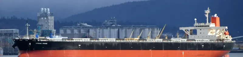 SPRING PRIDE Bulk Carrier IMO 9304150 photo 5
