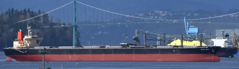 SPRING PRIDE Bulk Carrier IMO 9304150 photo 6