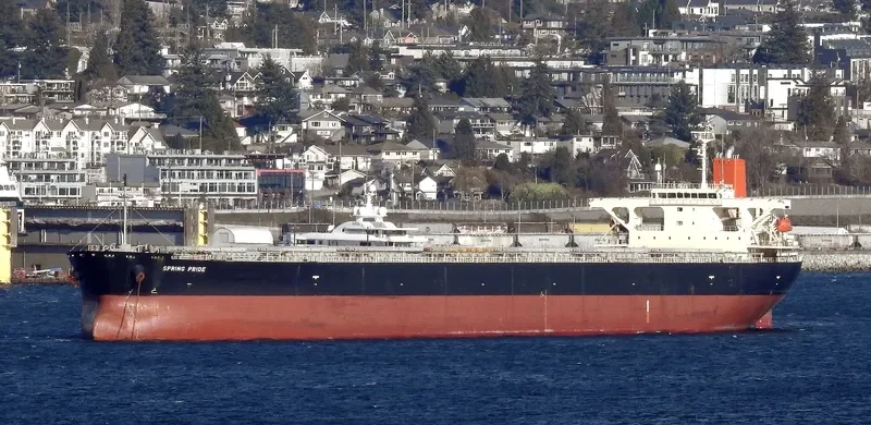 SPRING PRIDE Bulk Carrier IMO 9304150 photo 7