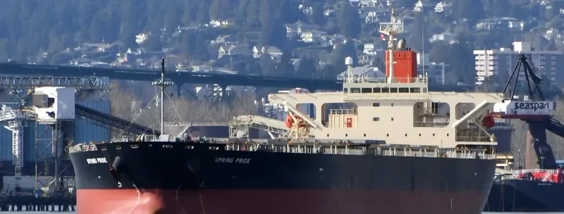 SPRING PRIDE Bulk Carrier IMO 9304150 photo 8
