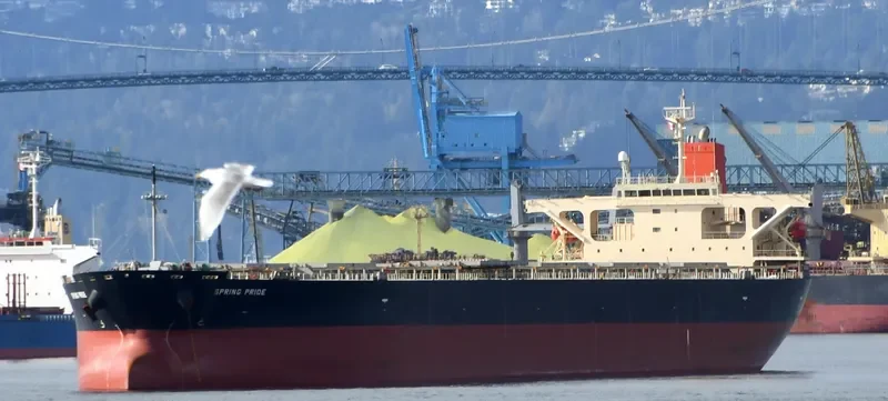 SPRING PRIDE Bulk Carrier IMO 9304150 photo 9