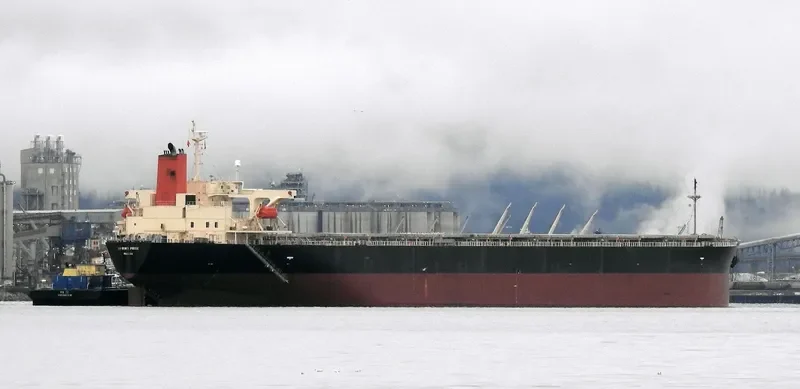 SPRING PRIDE Bulk Carrier IMO 9304150 photo 10