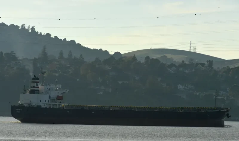 CHRISTINA B Bulk Carrier IMO 9304162 photo 2