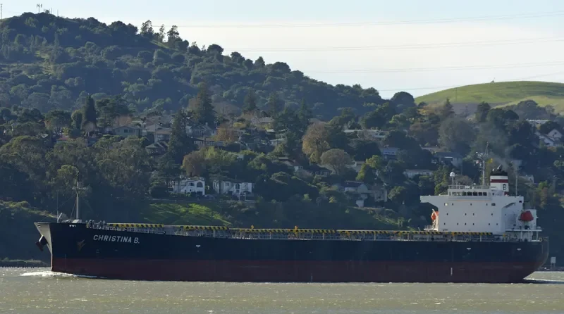 CHRISTINA B Bulk Carrier IMO 9304162 photo 4