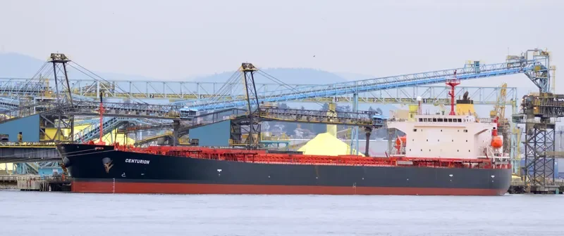 CENTURION Bulk Carrier IMO 9304174 photo 6